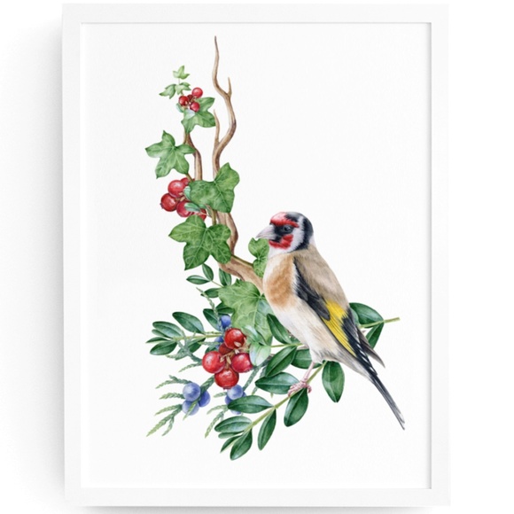 Other - Goldfinch Bird Wall Art Watercolor Illustration Print Poster Card Unframed